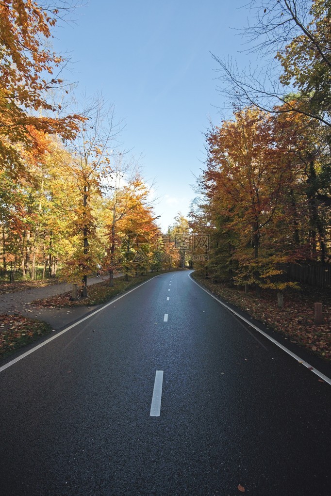 荷兰秋天的自驾道路图片