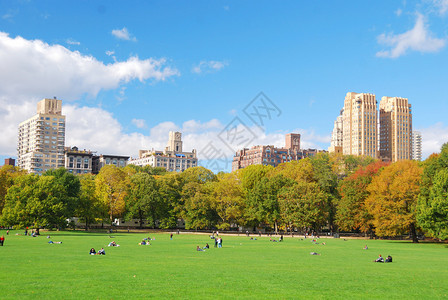 纽约市曼哈顿天线全景从中央公园以云彩蓝天图片
