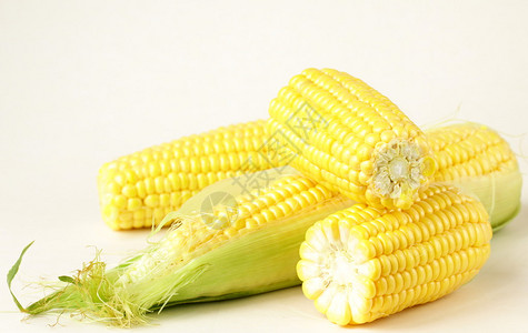白色背景上的新鲜玉米蔬菜图片