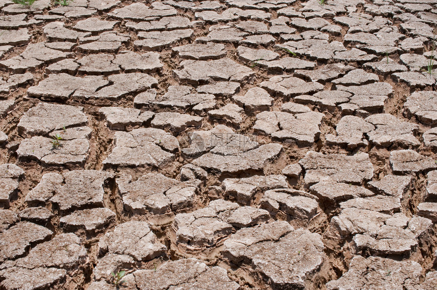 泰国旱季的干土图片
