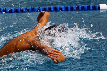 SchweizerischeNachwuchsmeisterschaftSchwimmen图片