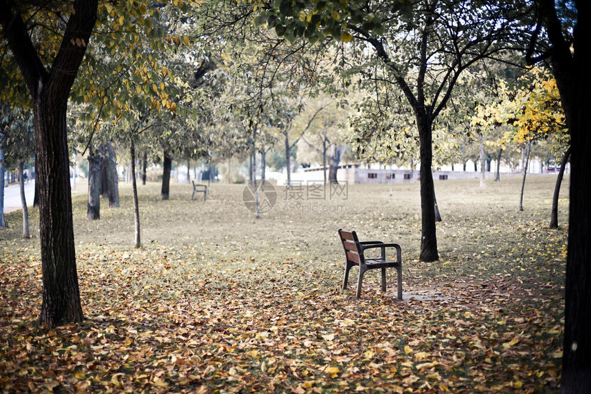 秋天公园里的椅子图片