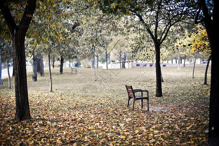 秋天公园里的椅子图片