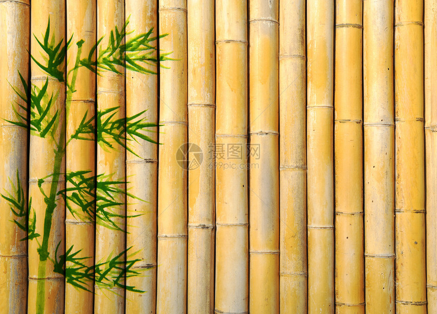 竹树的质感设计图片