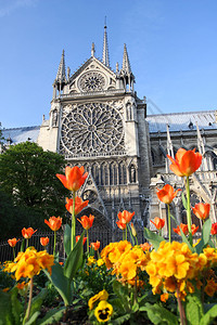 巴黎圣母教堂在春图片