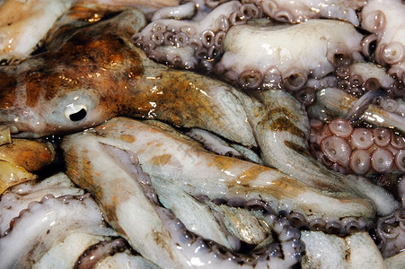鱼类和海产食品市场图片