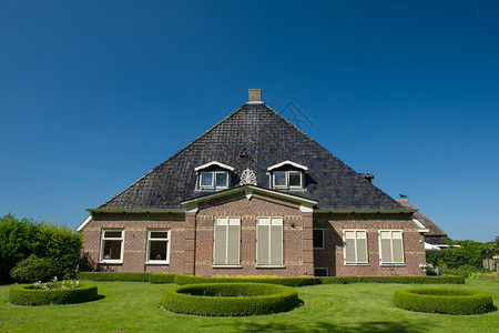 Friesland景观中典背景图片