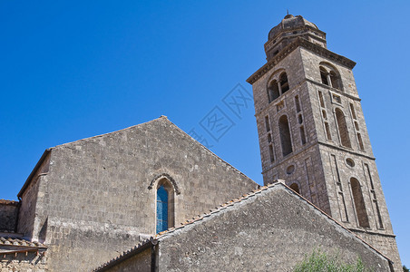 圣弗朗西斯科教堂塔尔基尼亚高清图片