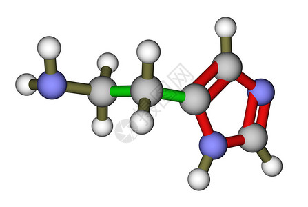 组胺的分子结构图片