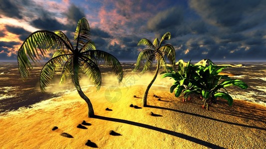 热带海滩天堂图片