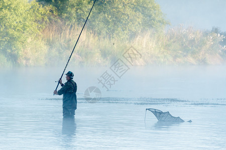 钓鱼湖中钓鱼自然系列图片