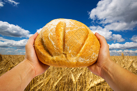 面包手握着新鲜面包图片