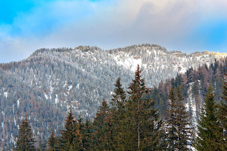 冬天的山脊图片