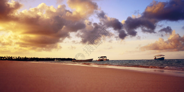 在日落全景的热带海滩图片