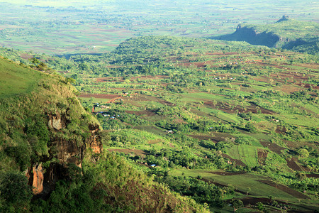 乌干达的农村景观图片