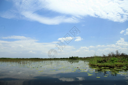 保护区欧佩塔湖乌干达图片