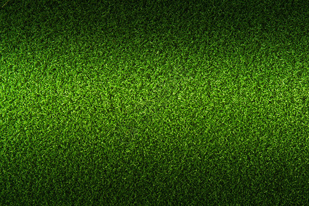 绿草背景背景图片