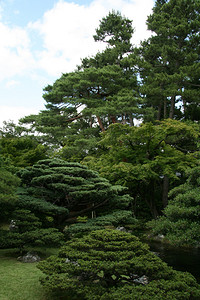 日本京都皇宫Zen图片