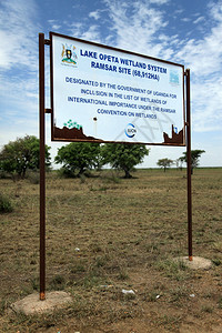 保护区欧佩塔湖乌干达图片