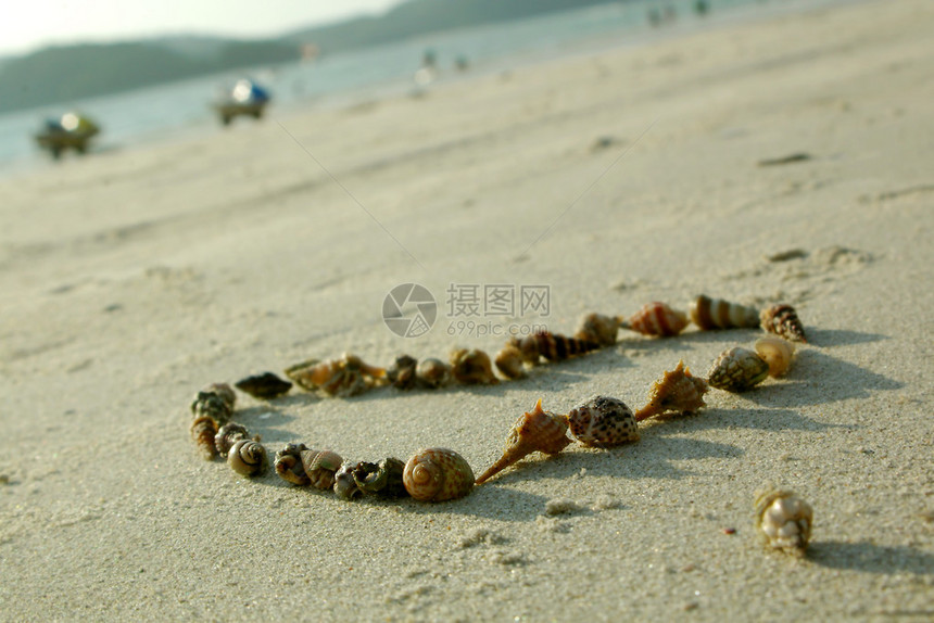 沙滩上贝壳的心图片