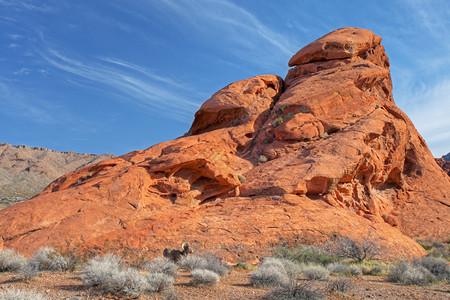 美国内华达州谷公园大山绵羊和岩石形成荒漠景观图片