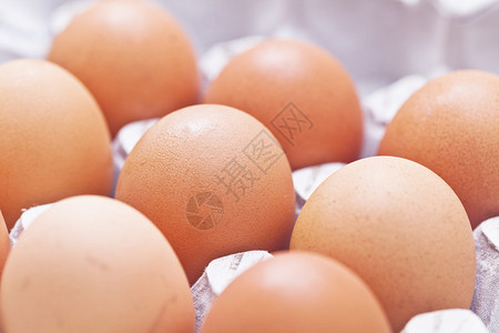 鸡蛋排列在一个盒子里图片
