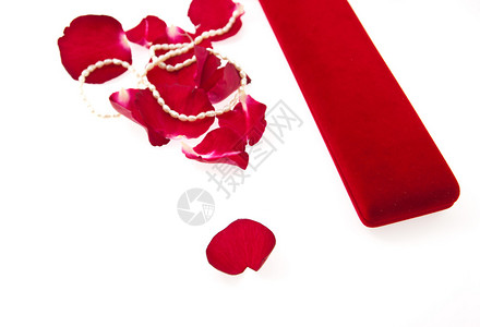 美珍珠和红玫瑰花瓣图片
