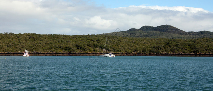 新西兰朗伊托岛图片