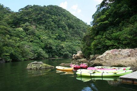 Kayaking日本冲绳Iriiomote岛Ur图片