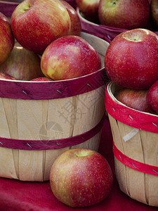 当地农贸市场的新鲜苹果农贸市场是一种传统的农图片