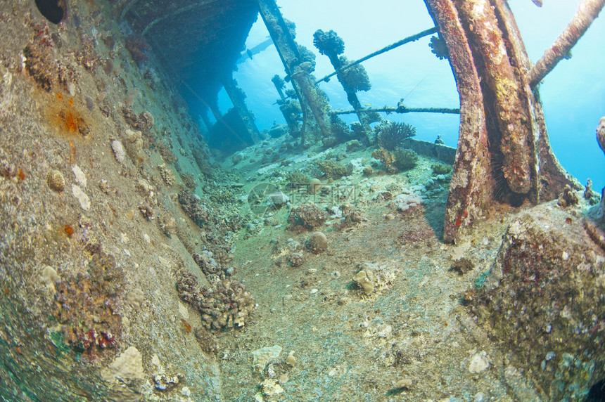 在水下沉船一侧的同伴通道上有图片