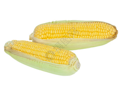 玉米角图片