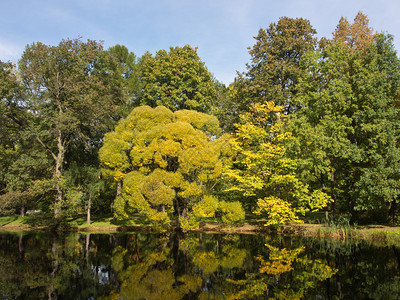 秋季公园倒影的池塘海岸图片
