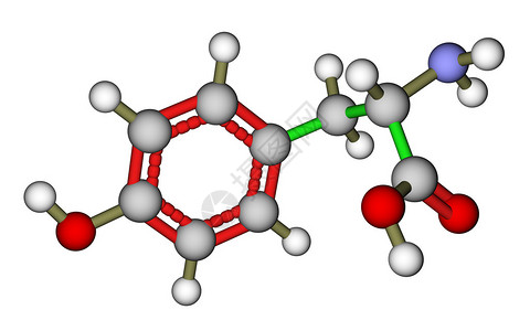 氨酸亚氨酸乙酰聚苯图片