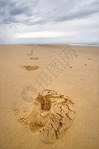 法国亚特兰地海岸野生海滩图片