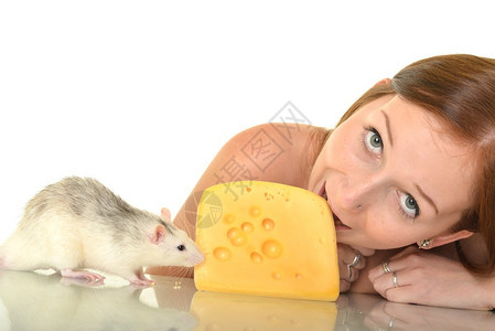 有她的宠物老鼠的妇女图片