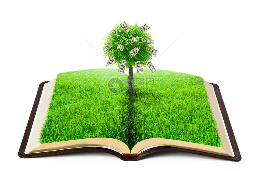 白色背景上的草和金钱树的自然之书图片