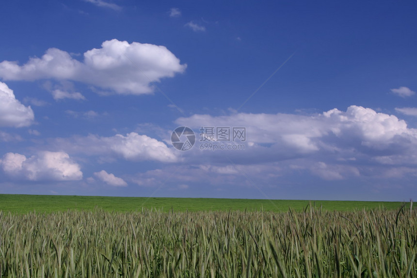 美丽的农田与可爱的云彩图片