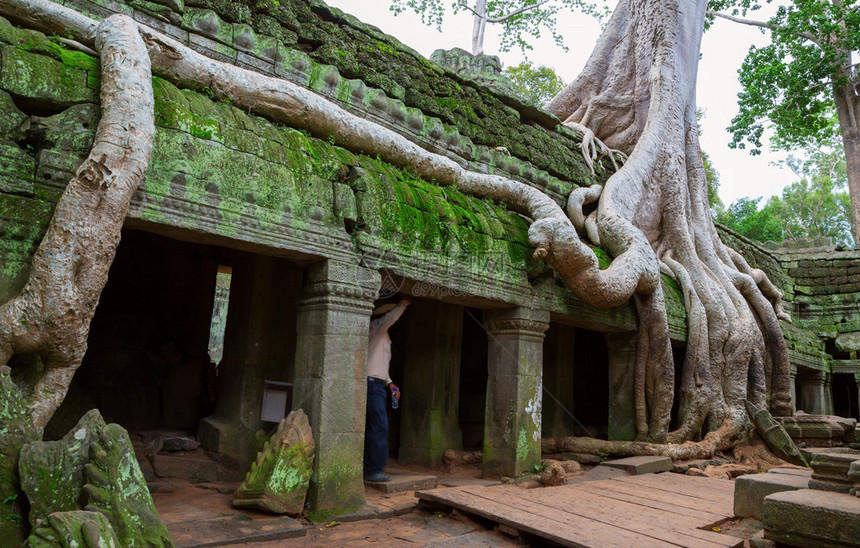 覆盖吴哥尔Wat柬埔寨SiemReapTaProhm寺庙图片