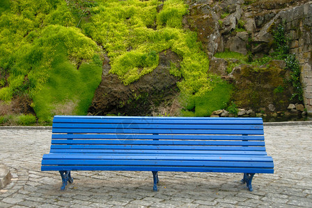 蓝色长凳背景是苔藓照片图片