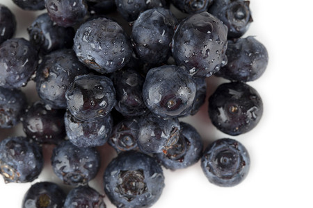 白色背景下新鲜蓝莓的特写图像图片