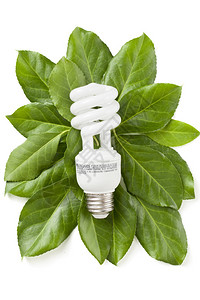 绿色生态能源概念背景图片