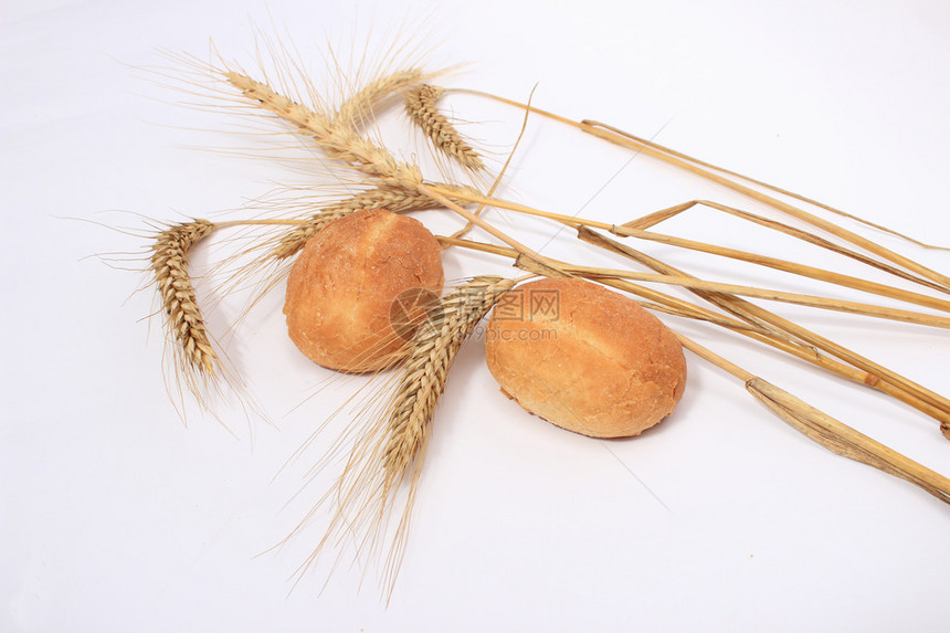 白色背景中的面包小圆面包和小麦茎图片