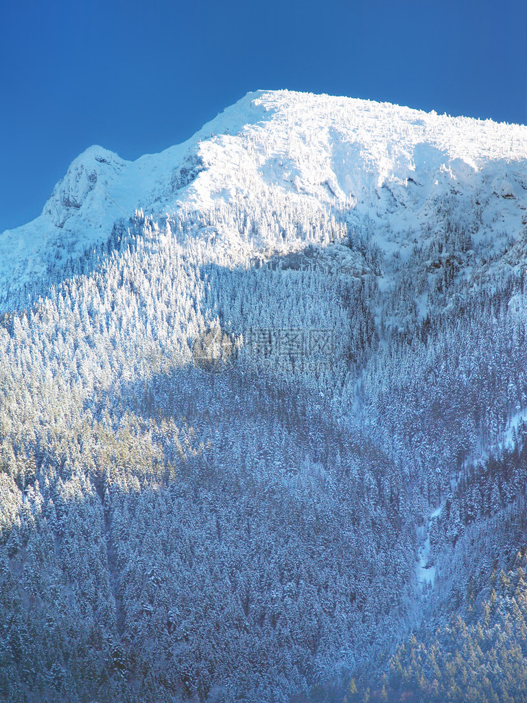 山的冬天视图巧克力覆盖着雪它是斯洛伐克乔山脉的最高峰图片