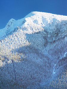 山的冬天视图巧克力覆盖着雪它是斯洛伐克乔山脉的最高峰图片