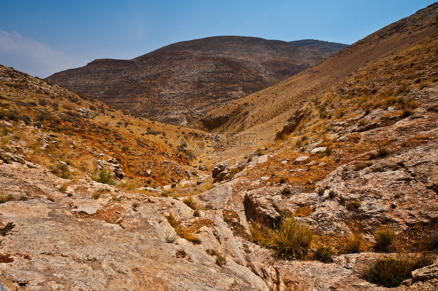 以色列西岸的哈什山丘地HarshMountishTe图片