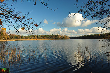 秋天的风景湖边的秋色图片