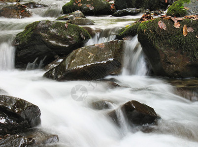小溪或流水中的图片