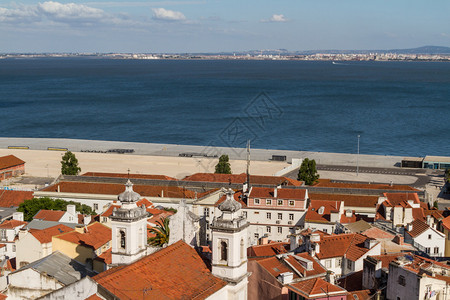 Lisboa葡萄图片