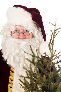 有圣诞树的圣诞老人被背景图片